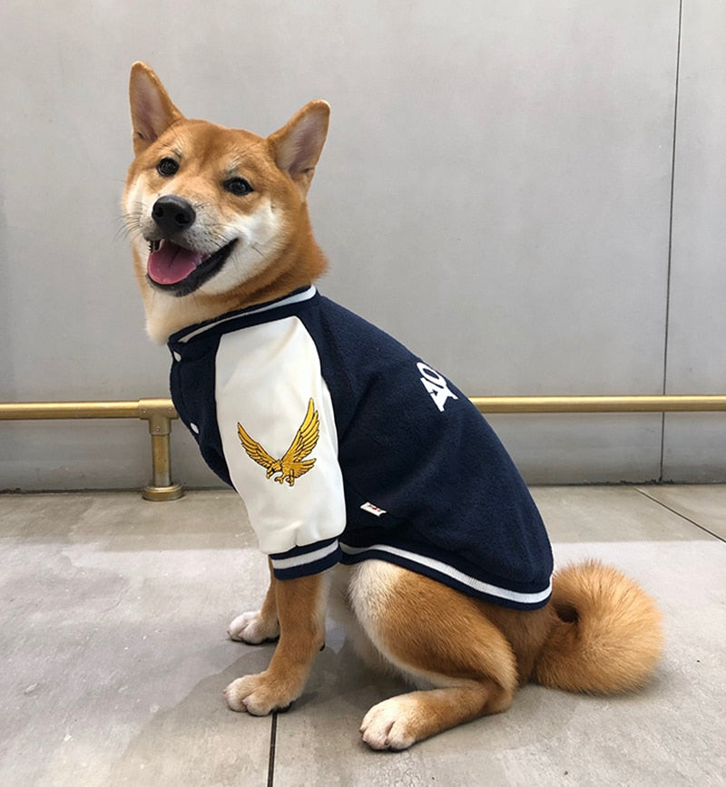 Chaleco Universitario MPK para Perros - Estilo Corea y Yonsei