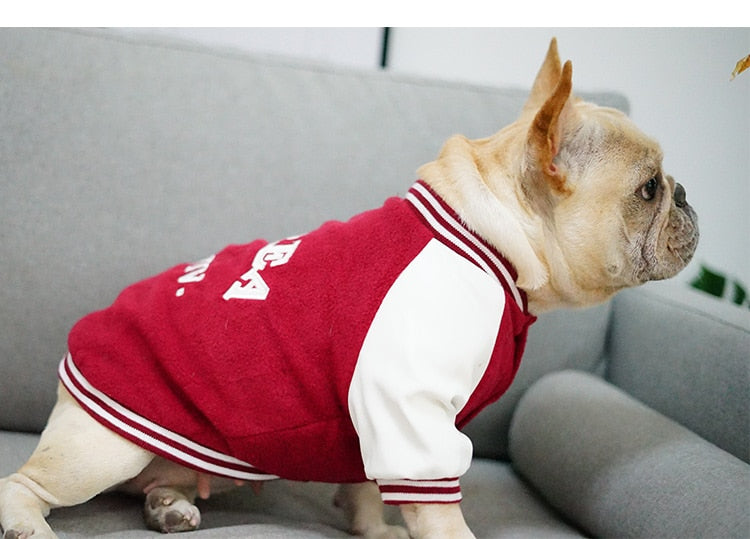 Chaleco Universitario MPK para Perros - Estilo Corea y Yonsei
