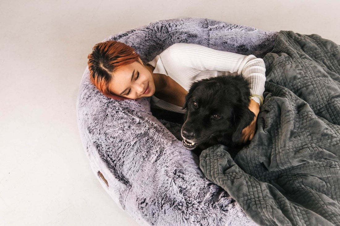 Cama Gigante para Perros y Humanos - Portátil y Cómoda
