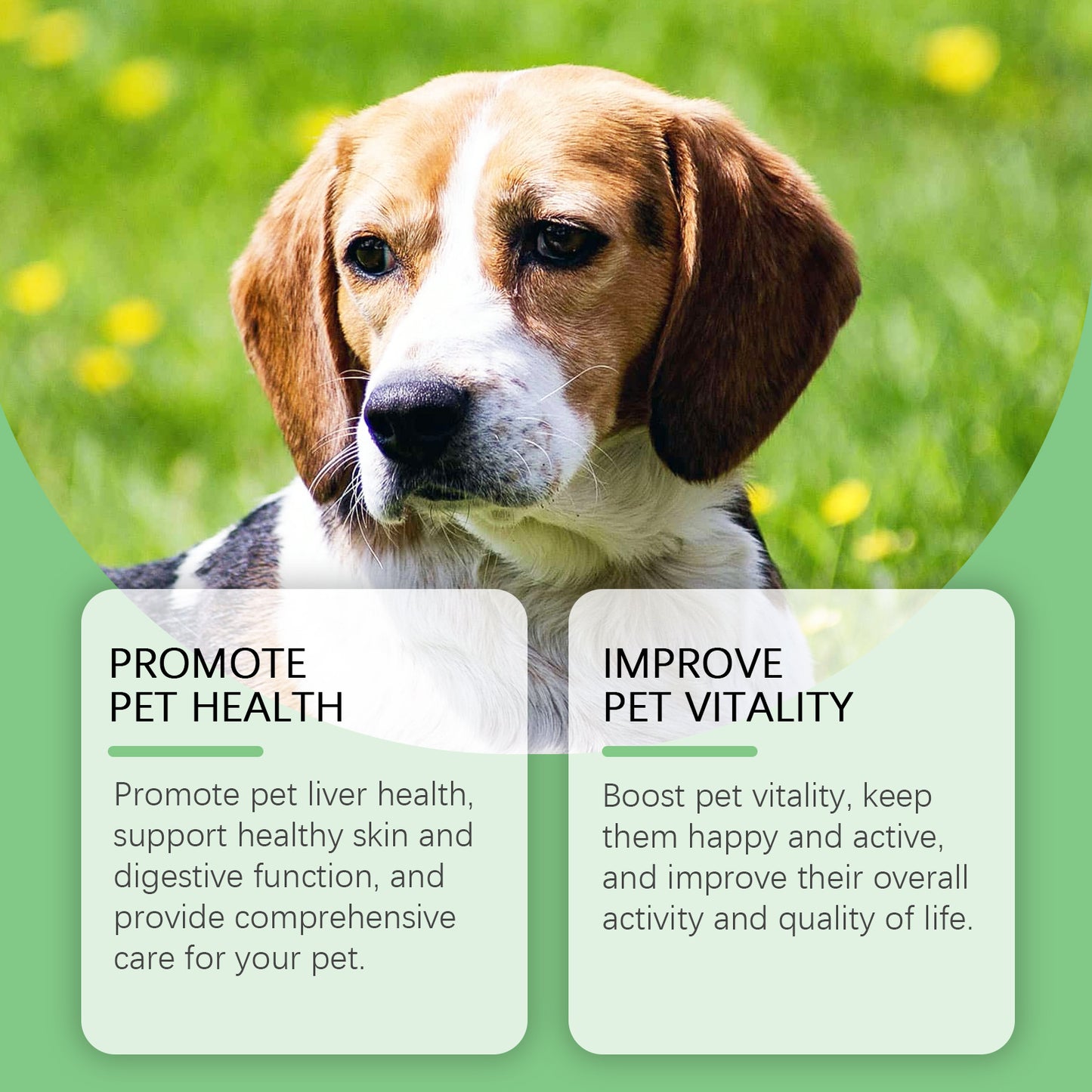 Yegbong Dog Supplement With Supplement Drops For Healthy Dog Skin To Promote Digestion And Enhance Immunity Dietary Supplement
