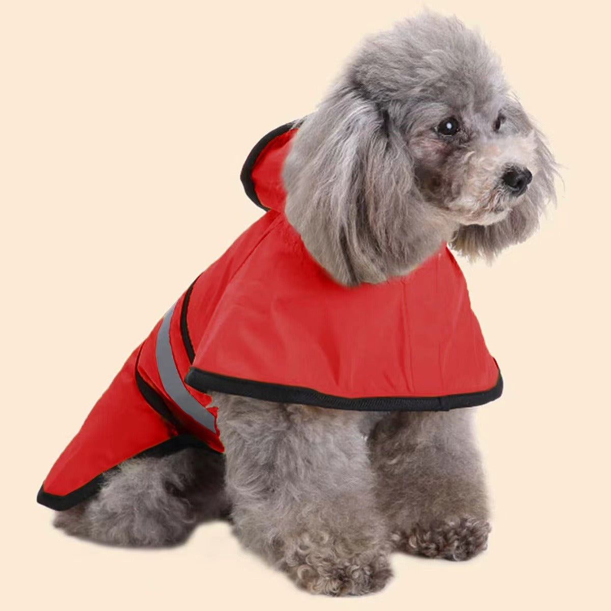 Chubasquero Reflectante para Perros Pequeños - Cuatro Estaciones