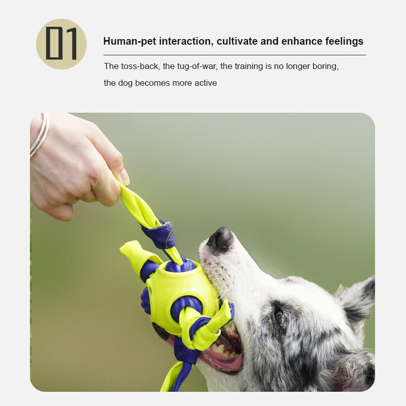 Pelota Entrenamiento Interactiva - Limpieza Dental Duradera