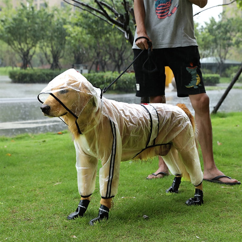 Chubasquero Transparente para Perros - Impermeable Ligero