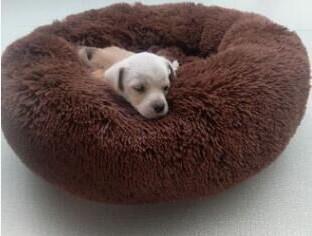 Cama Donut para Perros y Gatos - Suave, Lavable y Cómoda