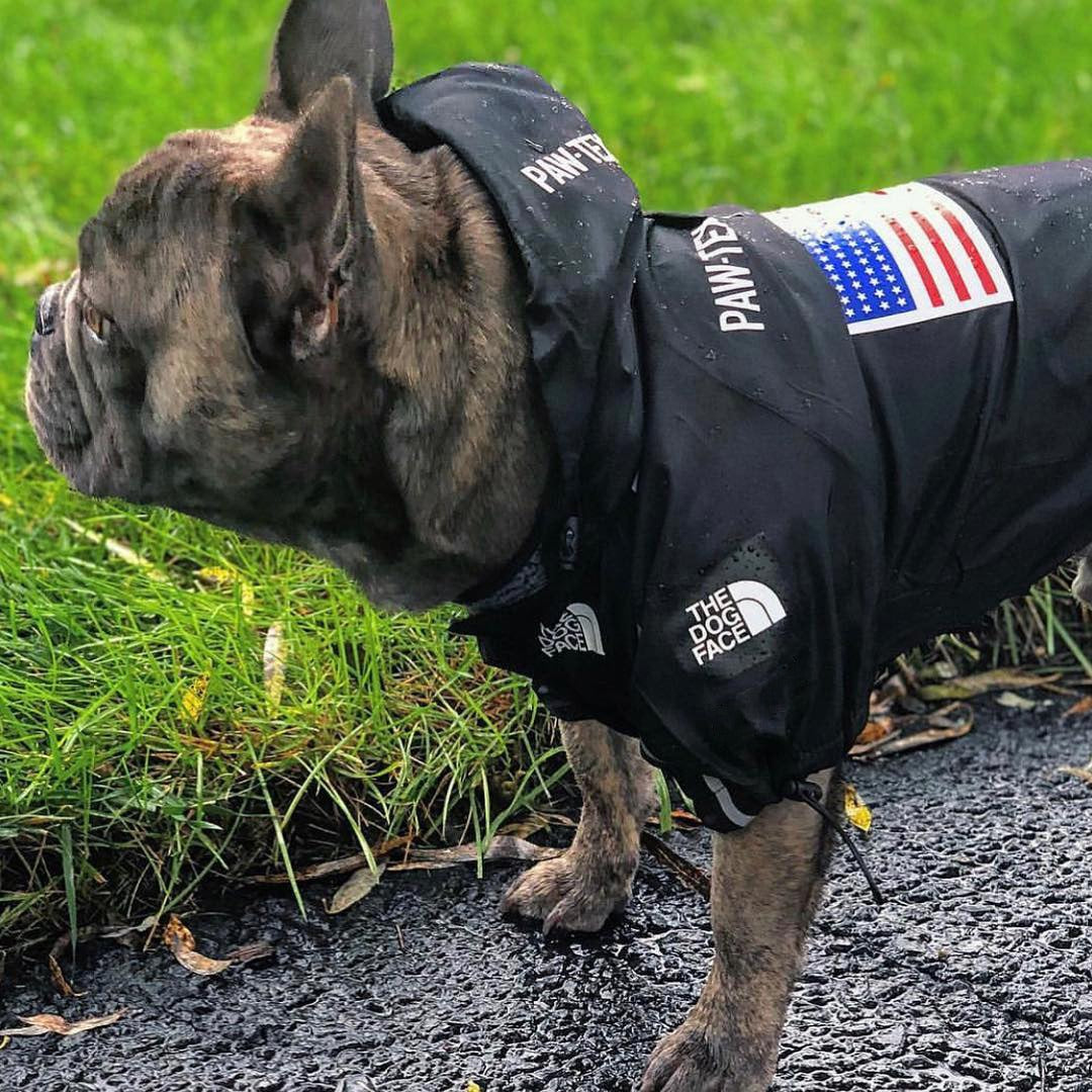 Chubasquero Bandera Americana para Perros Grandes - Cortavientos Impermeable