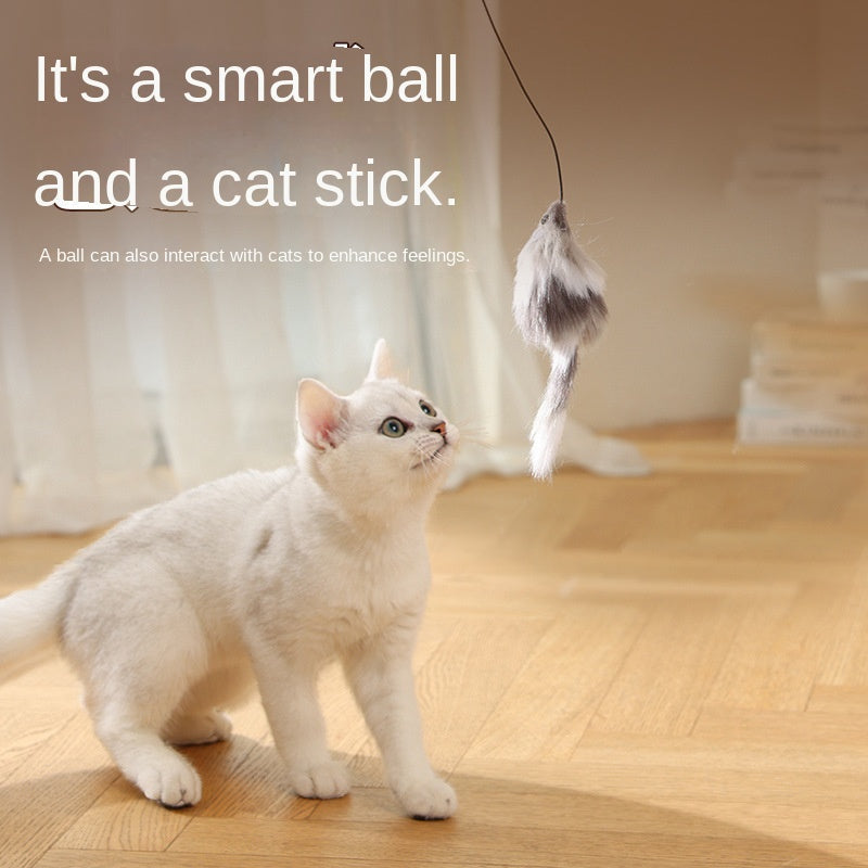 Pelota Automática Interactiva para Gatos - Ejercicio y Entretenimiento