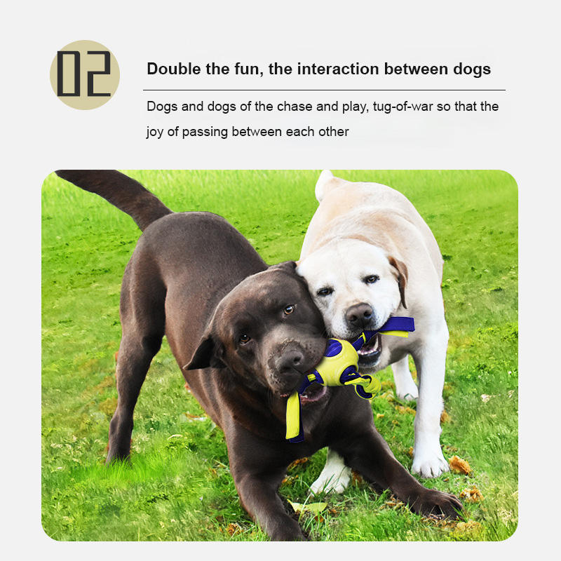 Pelota Entrenamiento Interactiva - Limpieza Dental Duradera