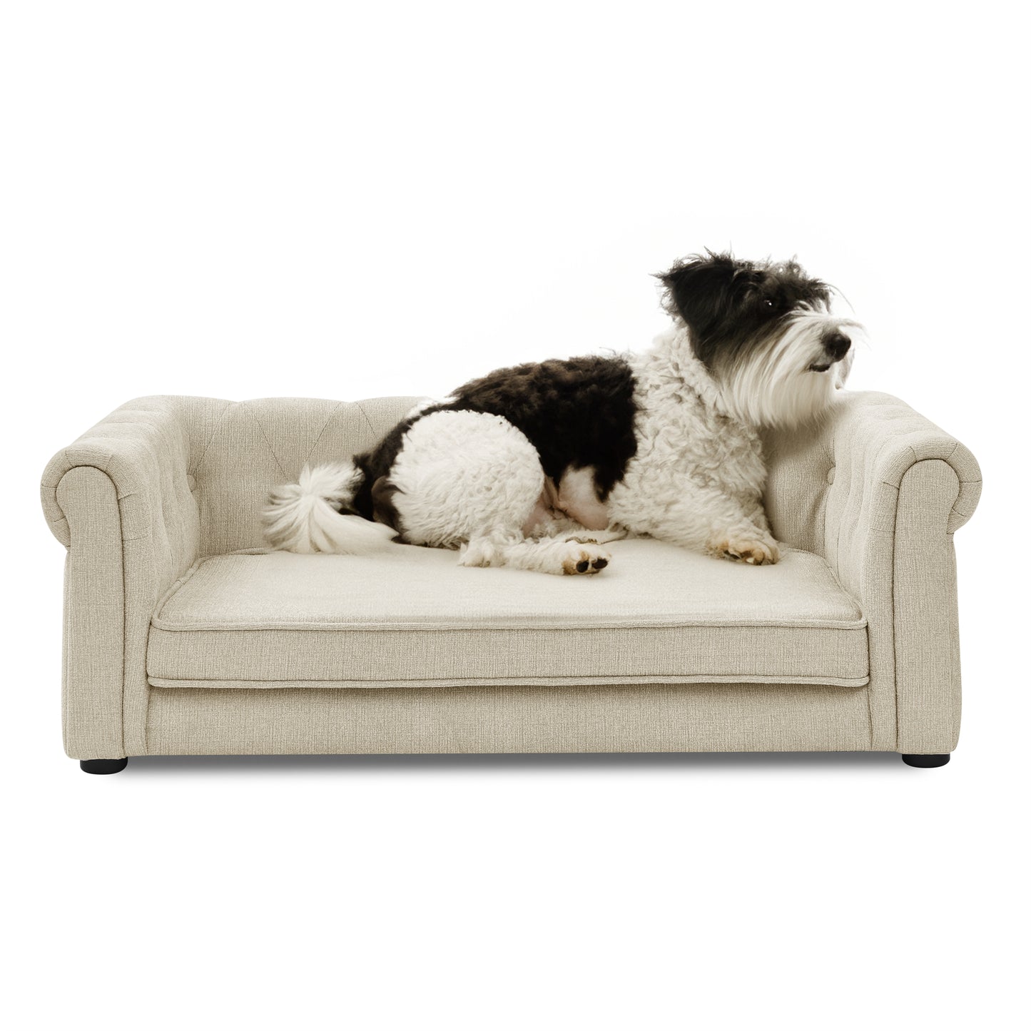 Sofá Cama Elevada para Perros Medianos y Grandes - Elegante Beige