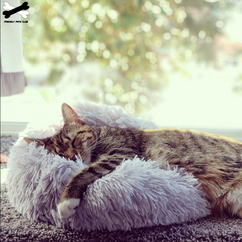 Cama Donut para Perros y Gatos - Suave, Lavable y Cómoda