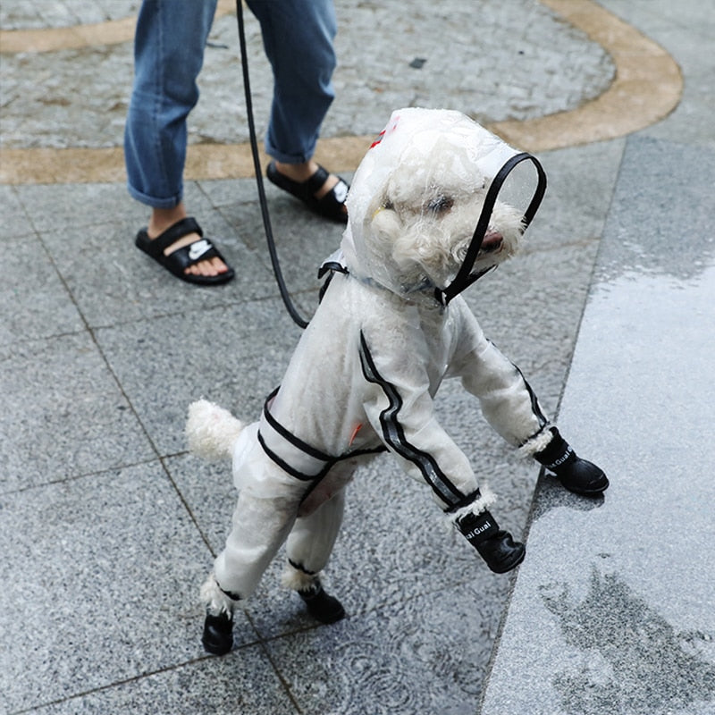 Chubasquero Transparente para Perros - Impermeable Ligero