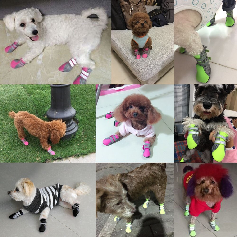 Botas Impermeables para Perros y Gatos - Protección Antideslizante
