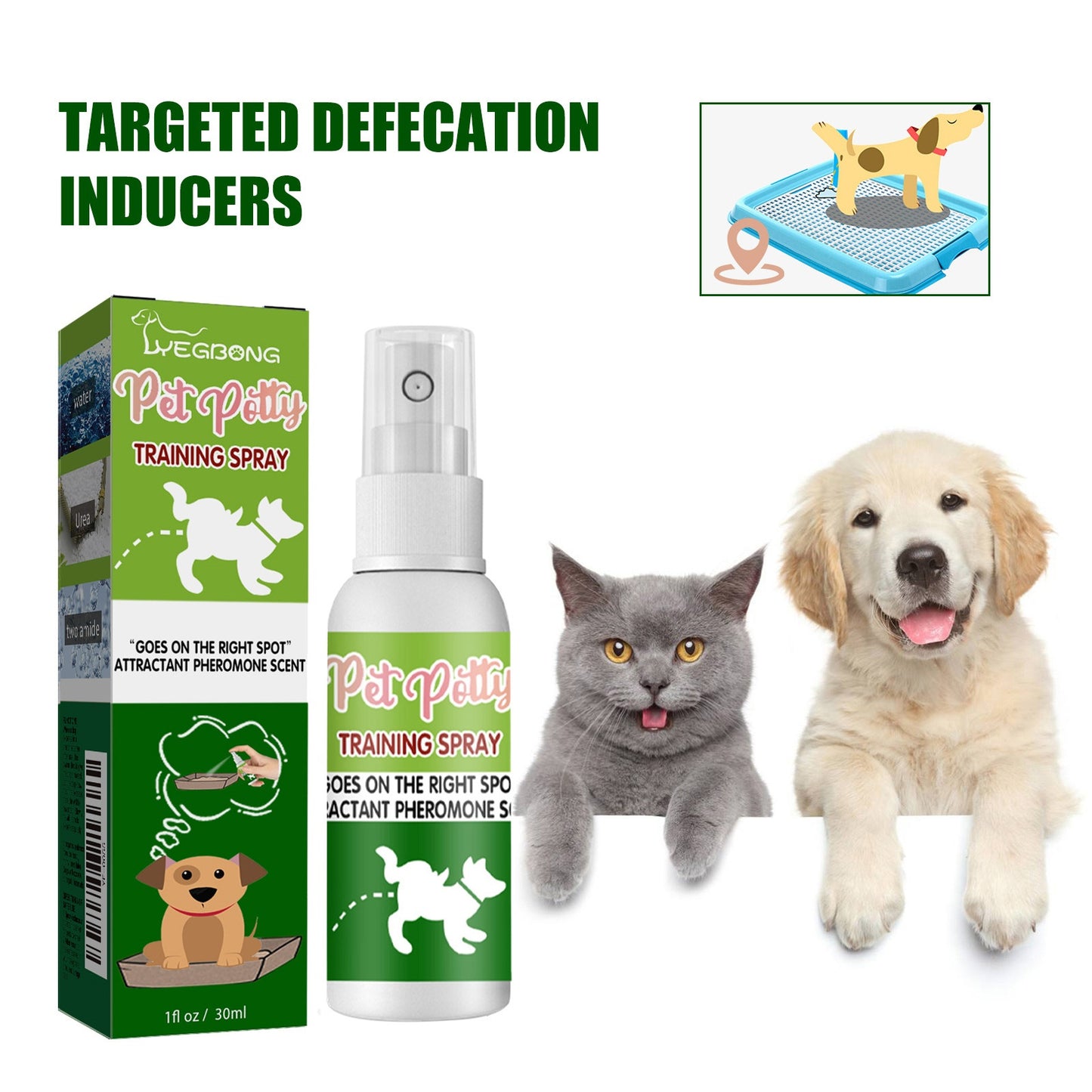Pet Location Training Agent for Toilet Induction and Waste Positioning