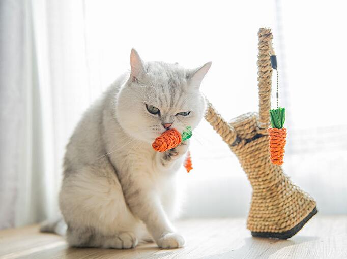 Árbol Torre para Gatos - Casa de Juegos con Plataformas y Sisal