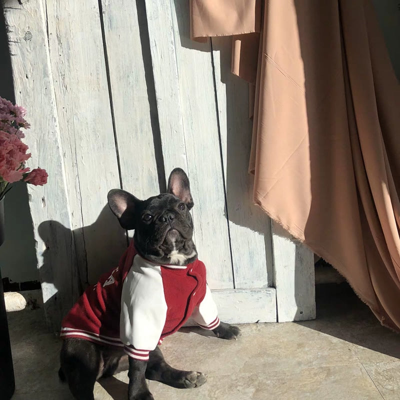 Chaleco Universitario MPK para Perros - Estilo Corea y Yonsei