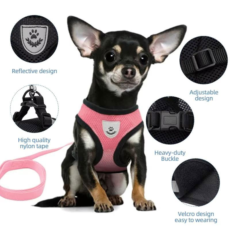 Arnés Ajustable para Perros Pequeños y Gatos - Set Completo con Correa