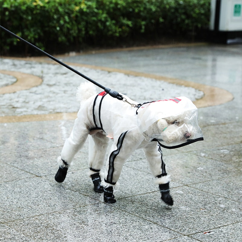Chubasquero Transparente para Perros - Impermeable Ligero