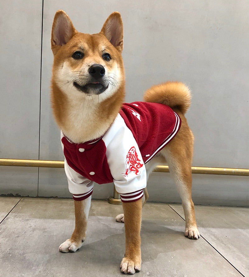 Chaleco Universitario MPK para Perros - Estilo Corea y Yonsei