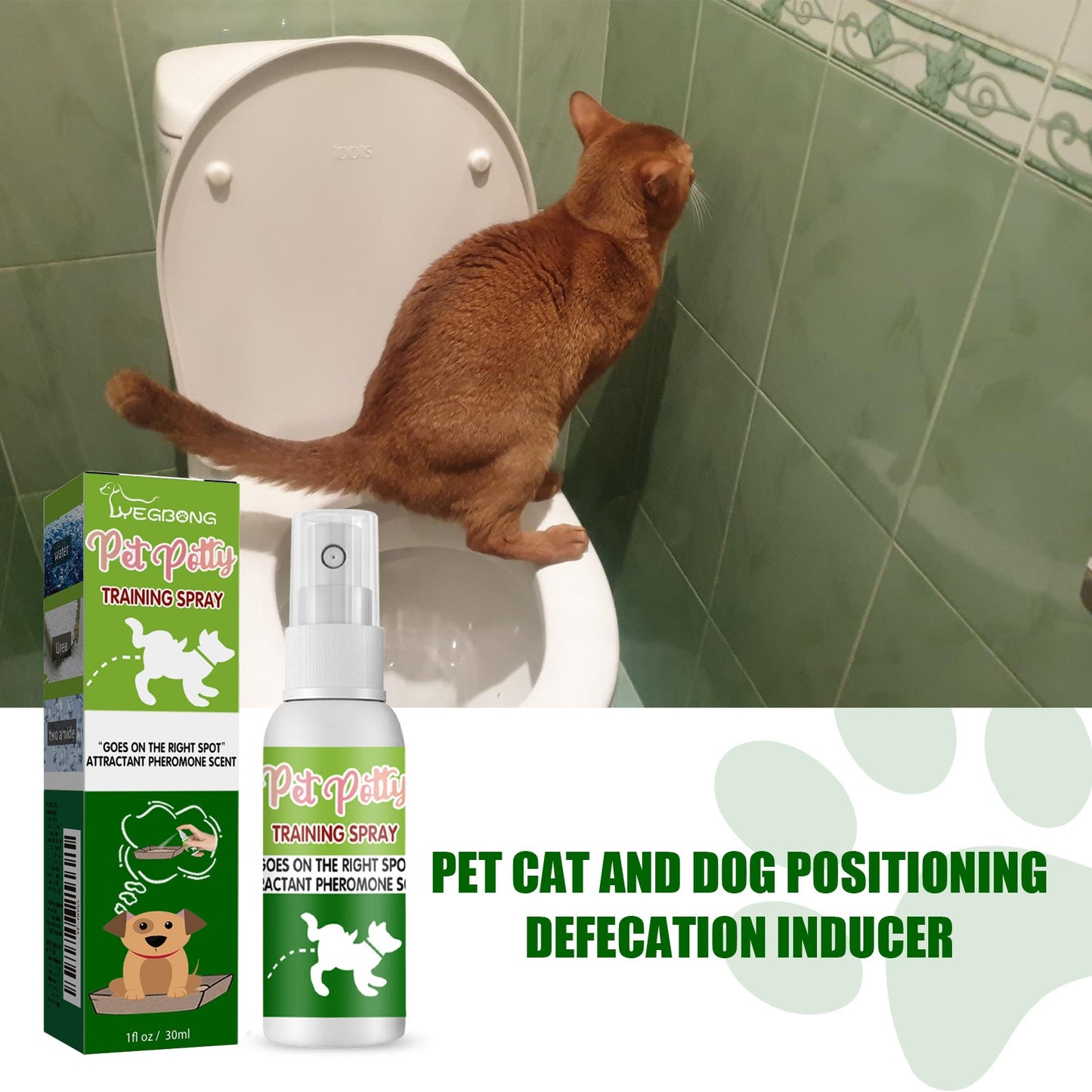 Pet Location Training Agent for Toilet Induction and Waste Positioning