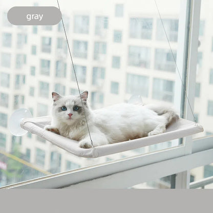Hamaca para Gatos con Ventosa - Cama Ventana Plegable