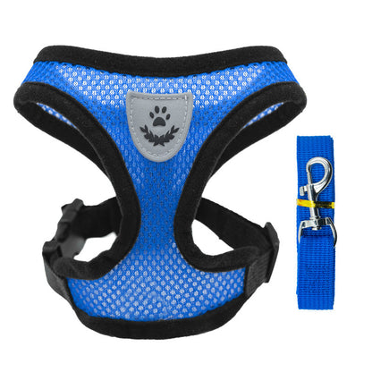 Arnés Ajustable para Perros Pequeños y Gatos - Set Completo con Correa