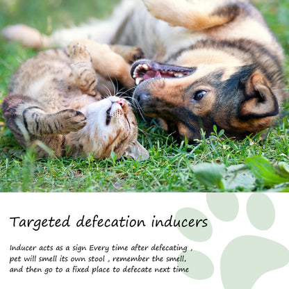Pet Location Training Agent for Toilet Induction and Waste Positioning