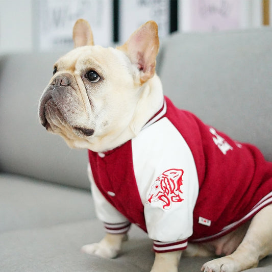 Chaleco Universitario MPK para Perros - Estilo Corea y Yonsei