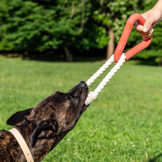 Juguete Triangular TPR para Perros - Entrenamiento y Mordida